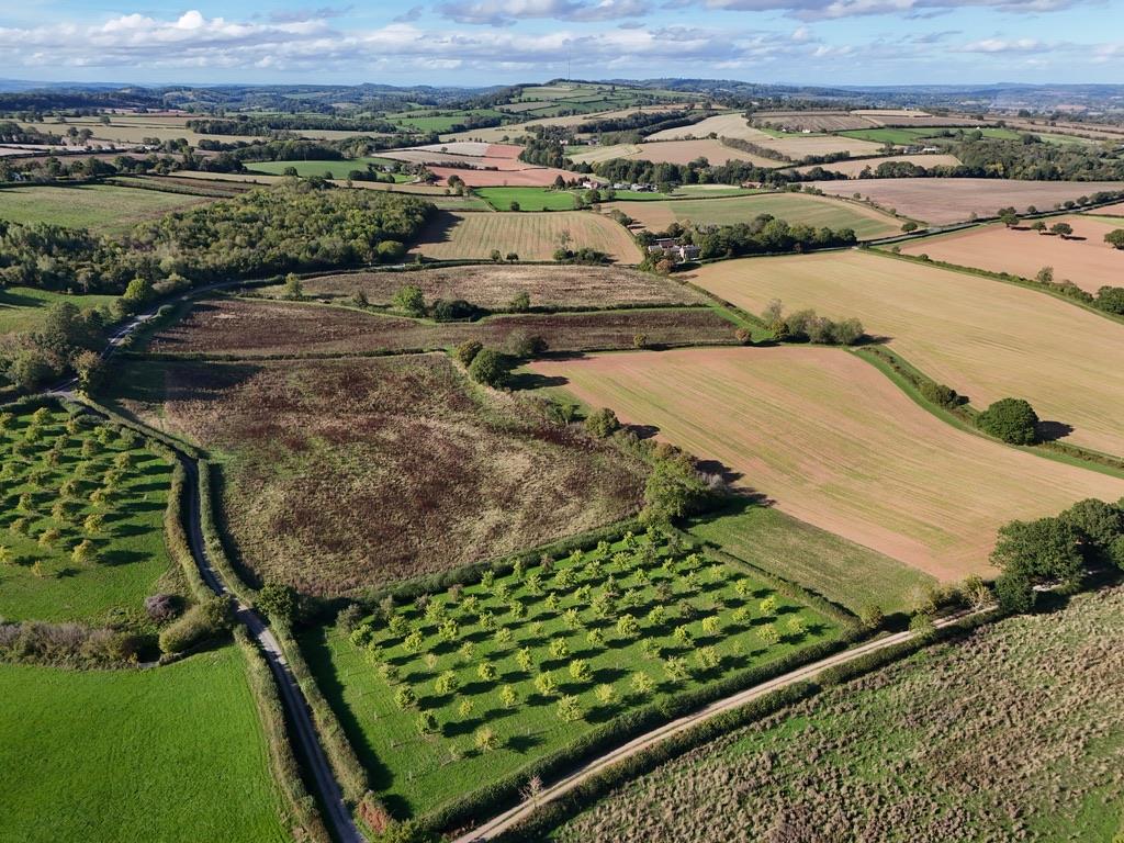 Image of Yatton, Ross on Wye